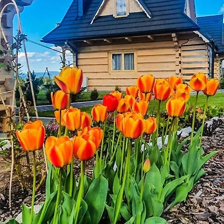 Gorskie Janosik, Kwicol I Pyzdra Jacuzzi, Sauna *